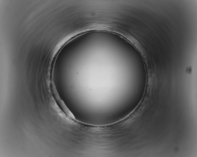 X0000116000904200911191421