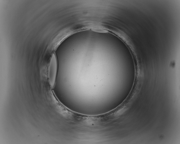 X0000116000905200911191421