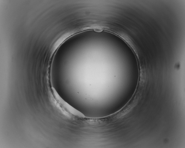 X0000116000906200911191421