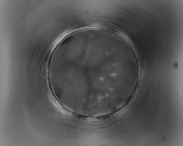 X0000116000907200911191421