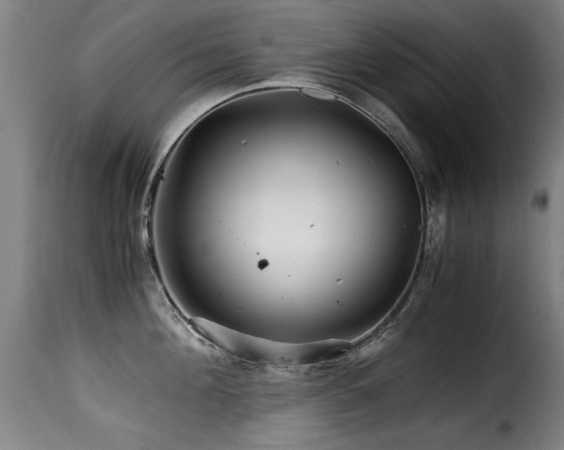 X0000116000908200911191421