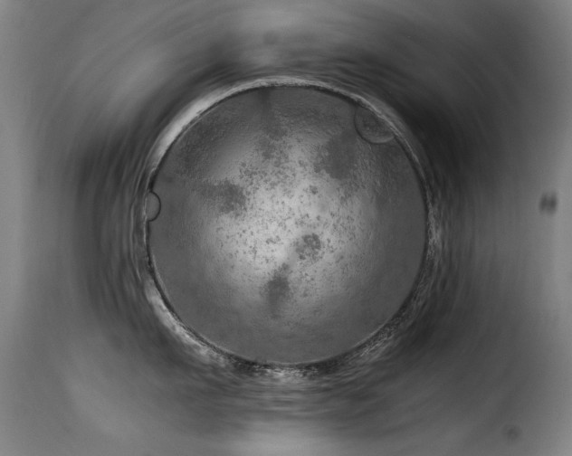 X0000116000911200911191421