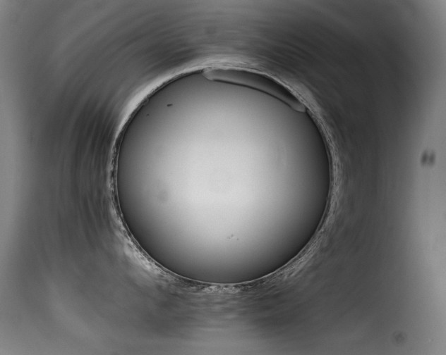 X0000116000912200911191421