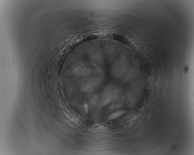 X0000116000913200911191421