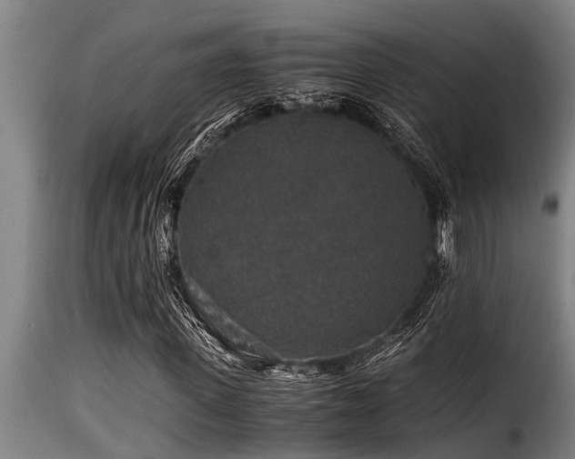 X0000116000915200911191421