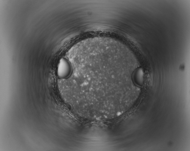 X0000116000918200911191421