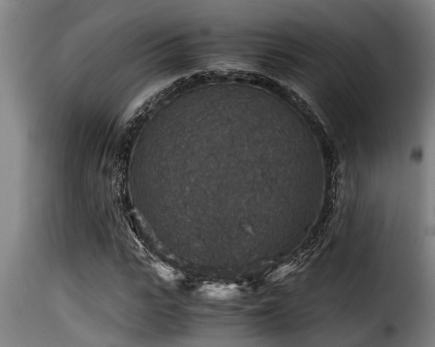 X0000116000919200911191421