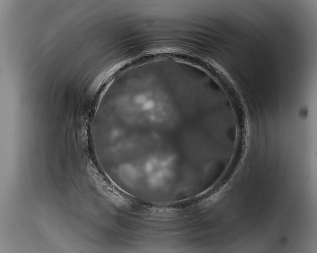 X0000116000921200911191421