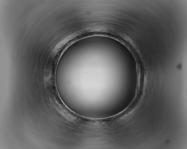 X0000116000922200911191421