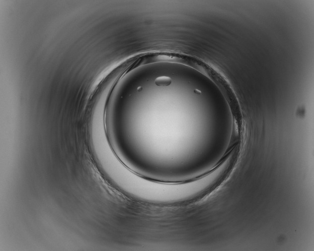 X0000116000925200911191421