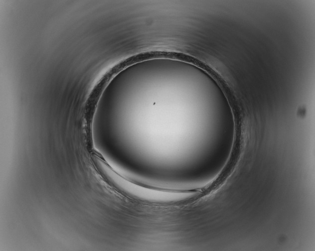 X0000116000926200911191421