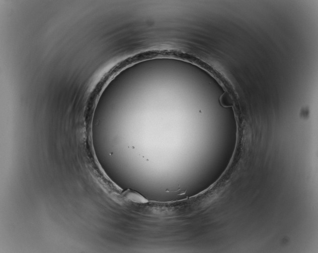 X0000116000927200911191421