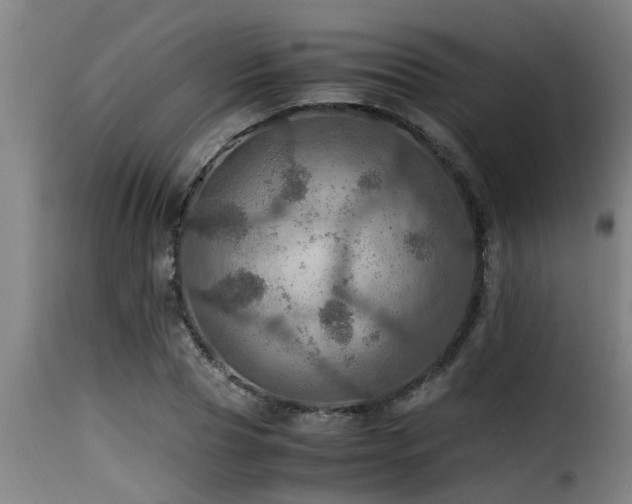 X0000116000929200911191421