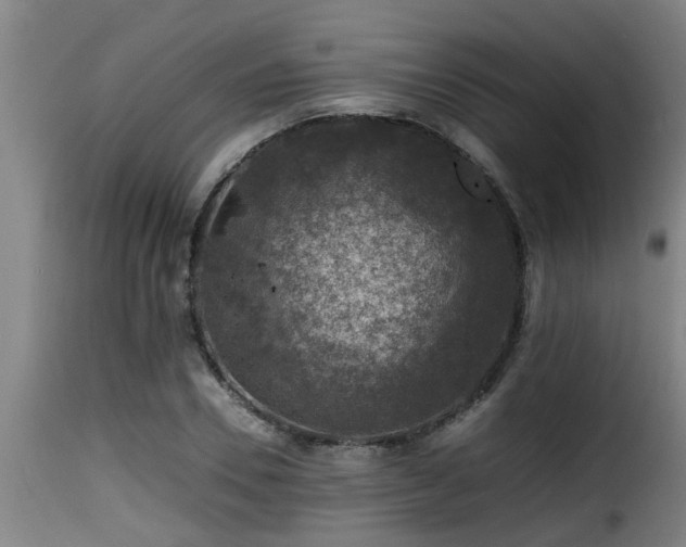 X0000116000930200911191421