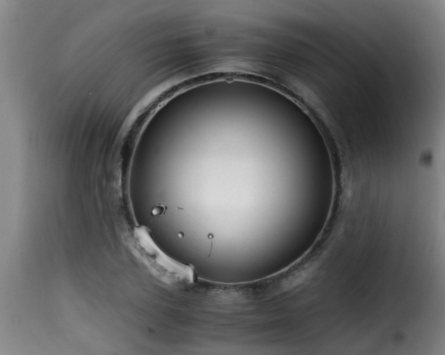 X0000116000931200911191421