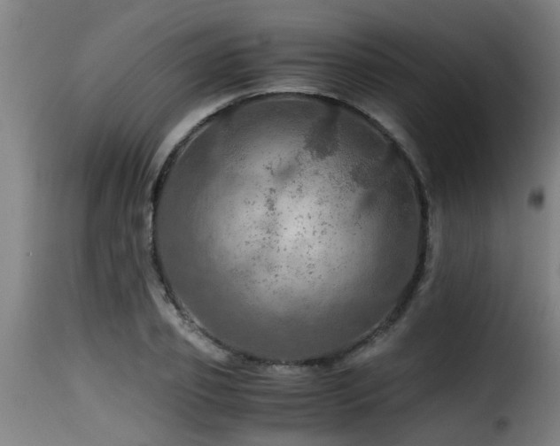 X0000116000933200911191421