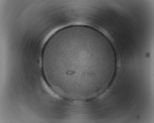 X0000116000934200911191421