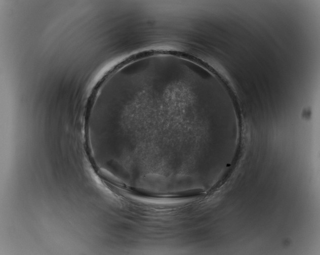 X0000116000935200911191421