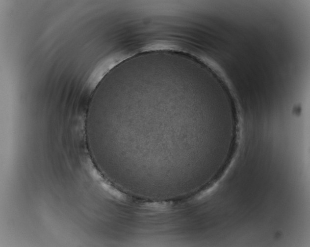 X0000116000937200911191421