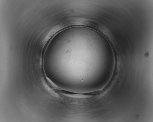 X0000116000938200911191421