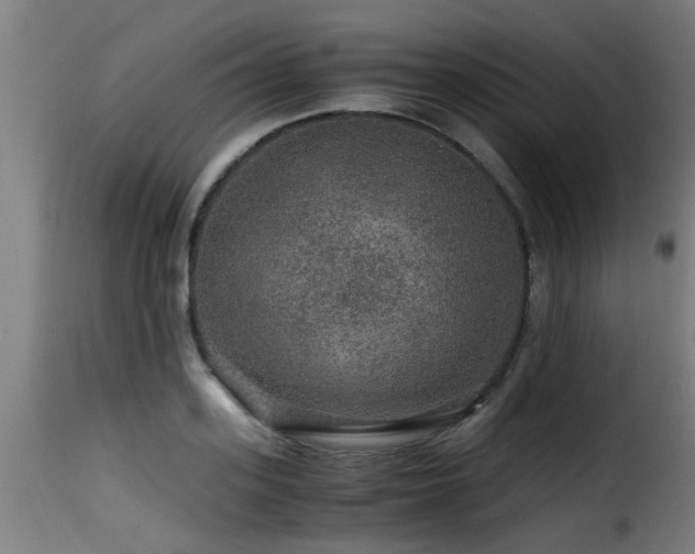 X0000116000939200911191421