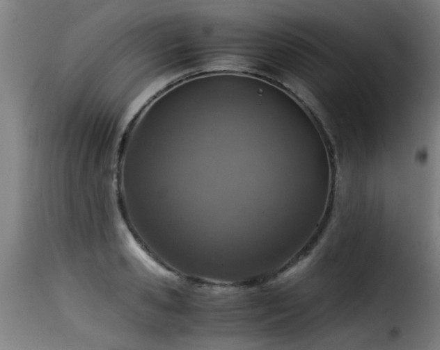 X0000116000941200911191421