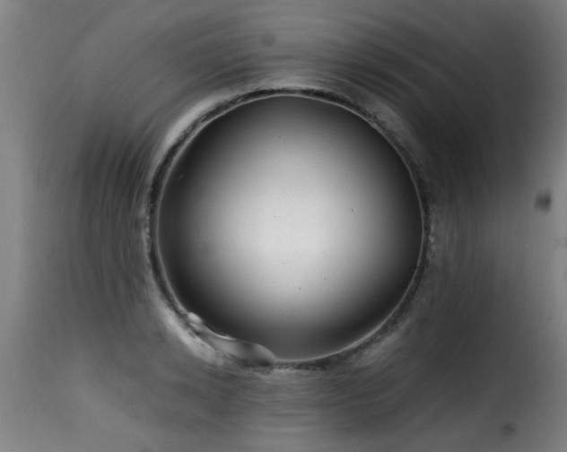 X0000116000942200911191421