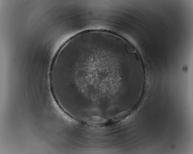 X0000116000943200911191421