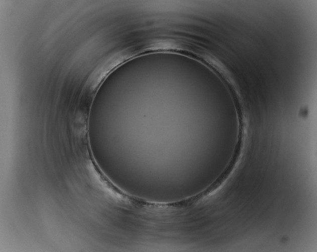 X0000116000945200911191421