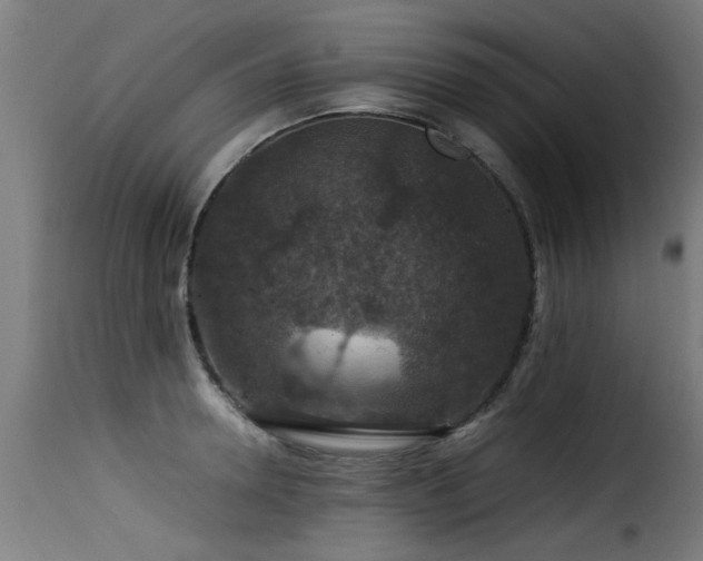 X0000116000946200911191421