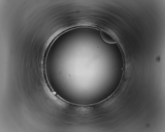 X0000116000947200911191421