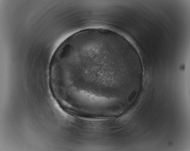 X0000116000951200911191421