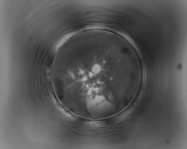 X0000116000953200911191421