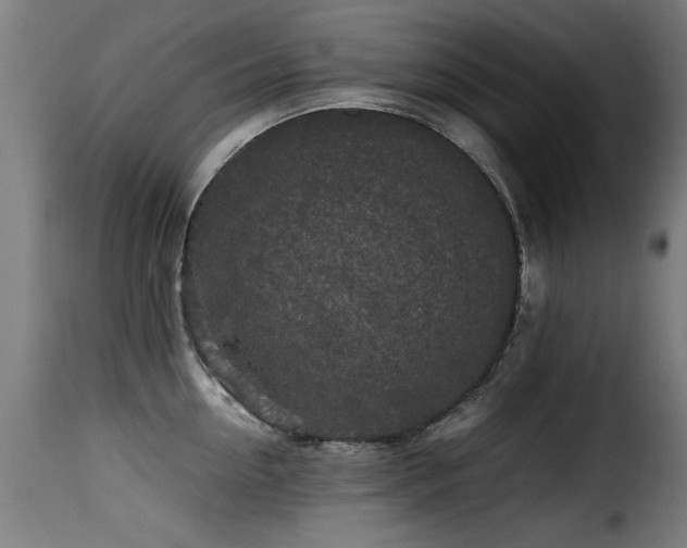 X0000116000954200911191421