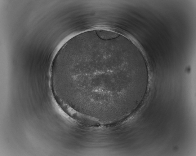 X0000116000955200911191421