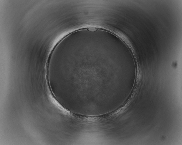 X0000116000958200911191421