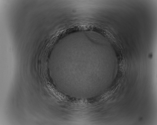 X0000116000961200911191421