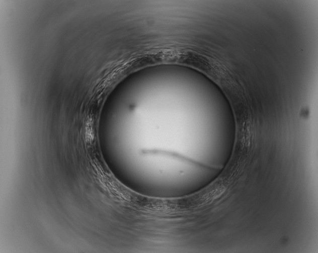 X0000116000962200911191421