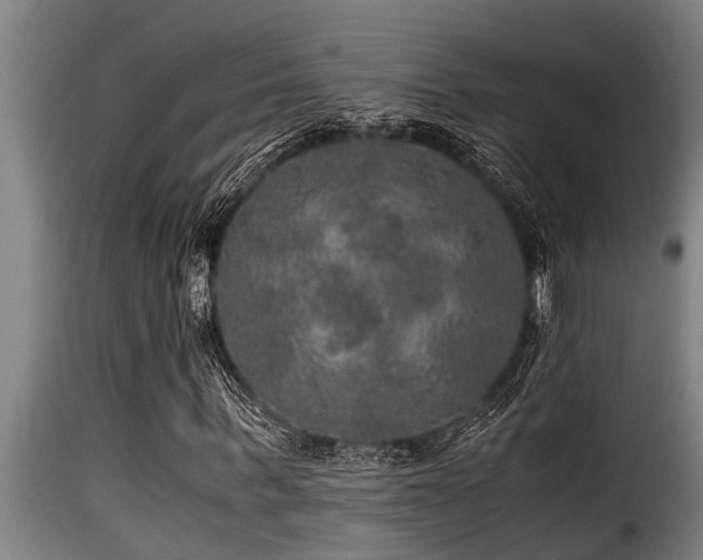 X0000116000963200911191421