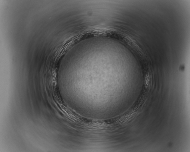 X0000116000964200911191420