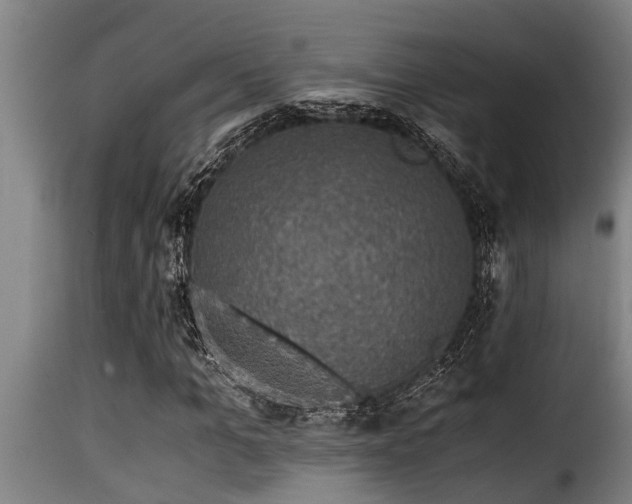 X0000116000965200911191420