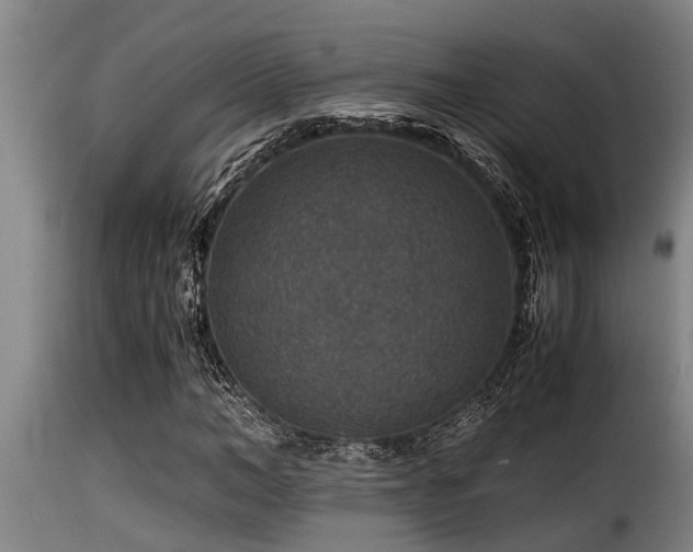 X0000116000966200911191420