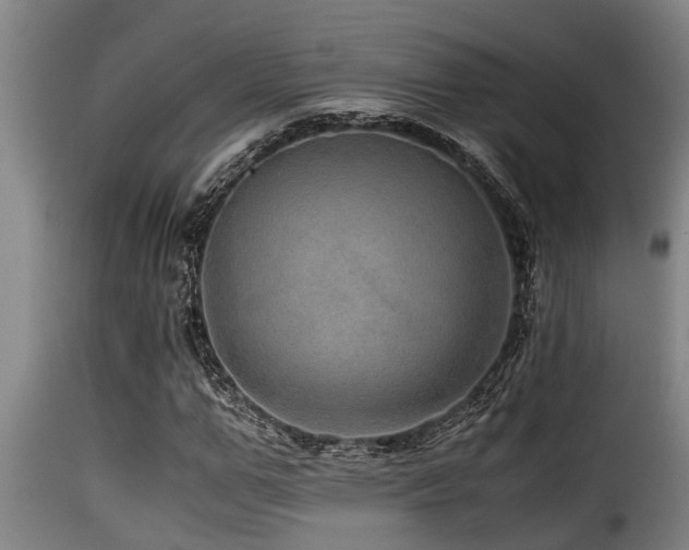 X0000116000967200911191420