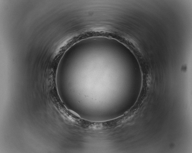 X0000116000968200911191420