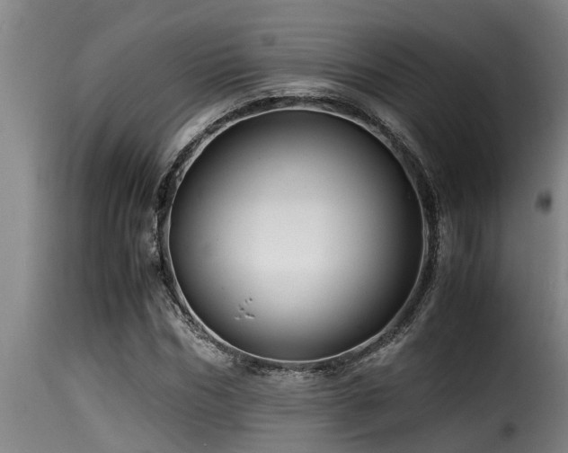 X0000116000970200911191420