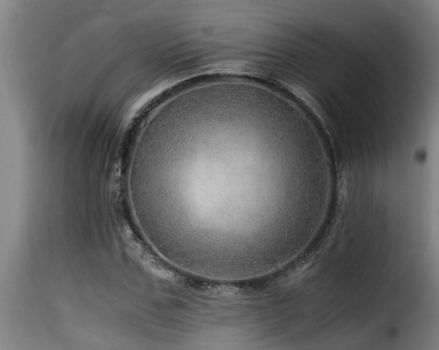 X0000116000971200911191420