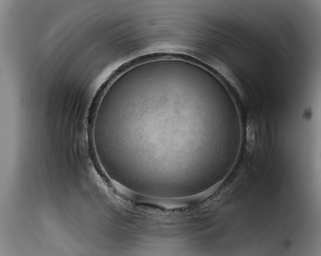 X0000116000972200911191420