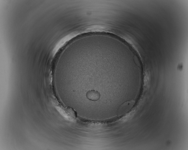 X0000116000973200911191420