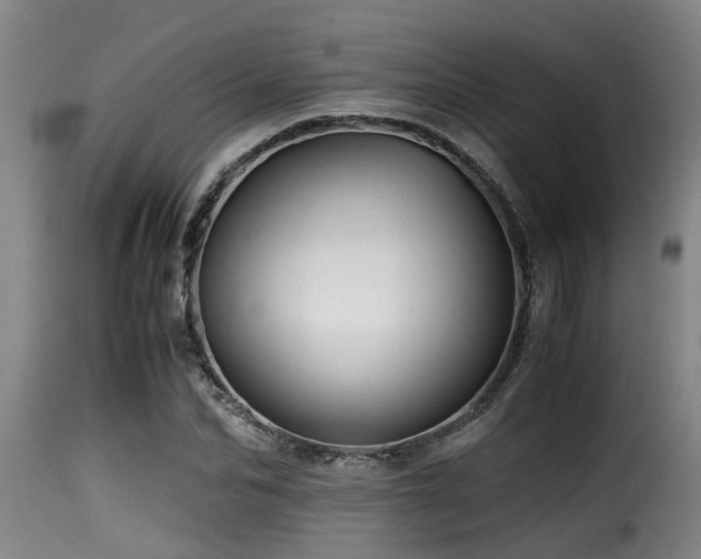 X0000116000974200911191420