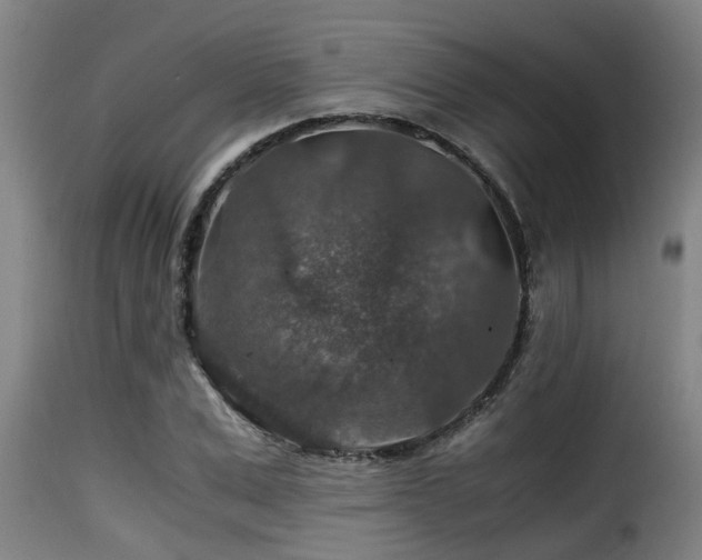 X0000116000975200911191420